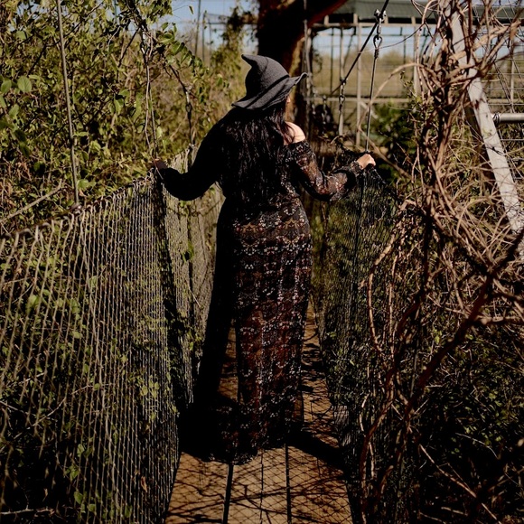 Meet Your Posh Ambassador - Picture 13 of 17